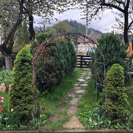 Casa Maria Villa Törcsvár Kültér fotó