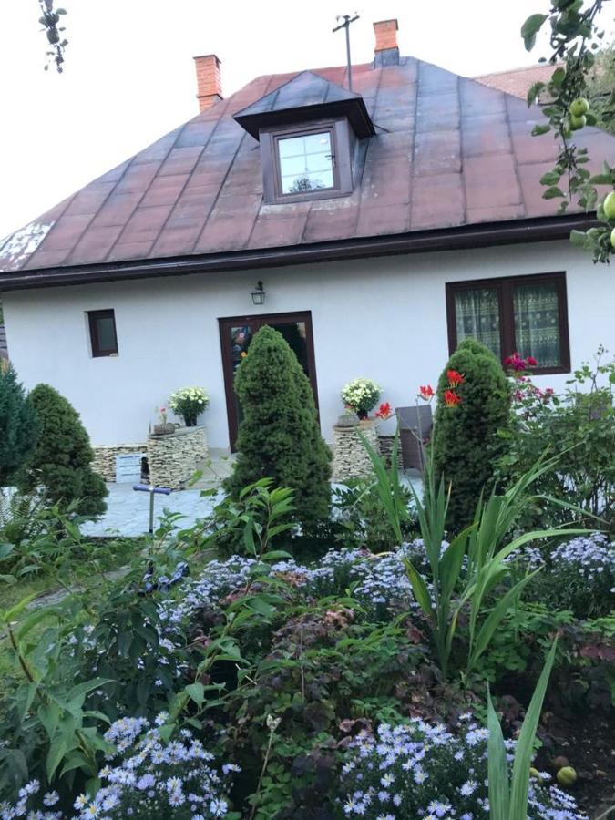 Casa Maria Villa Törcsvár Kültér fotó