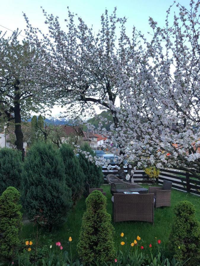 Casa Maria Villa Törcsvár Kültér fotó